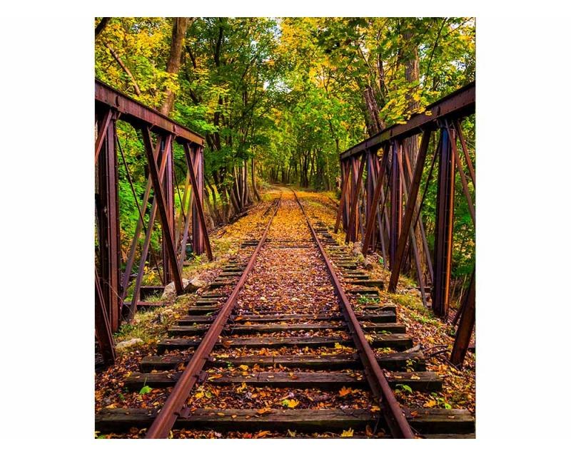 Fototapeta na zeď Železnice v lese | MS-3-0055 | 225x250 cm - Fototapety