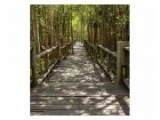 Fototapeta na zeď Mangrovový les | MS-3-0059 | 225x250 cm Fototapety