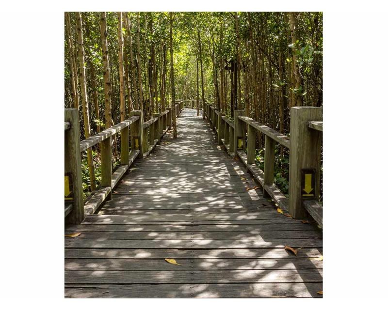 Fototapeta na zeď Mangrovový les | MS-3-0059 | 225x250 cm - Fototapety