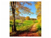 Fototapeta na zeď Louka | MS-3-0066 | 225x250 cm Fototapety