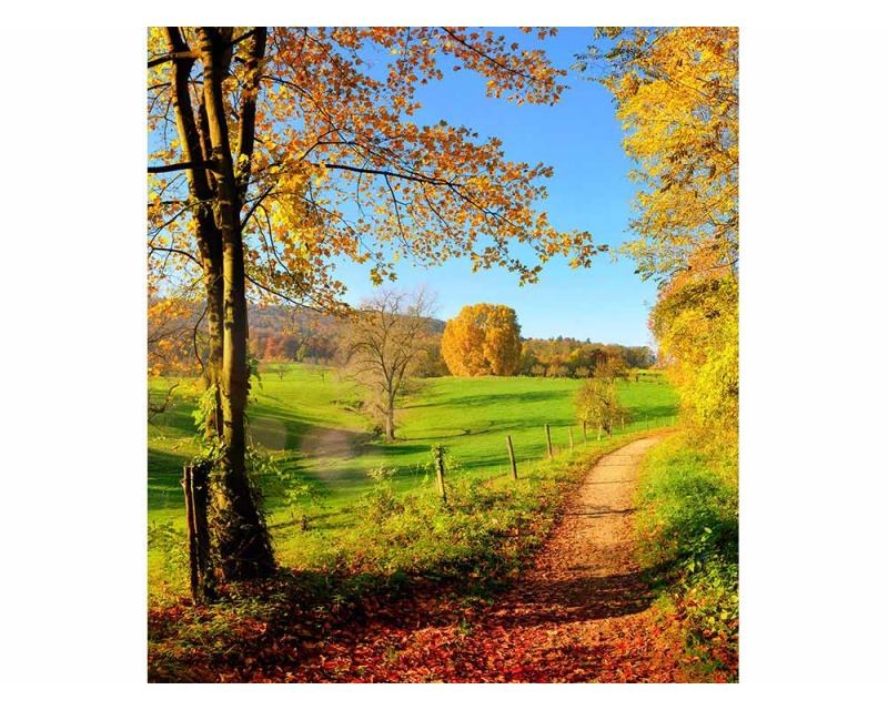 Fototapeta na zeď Louka | MS-3-0066 | 225x250 cm Fototapeta na zeď Louka | MS-3-0066 | 225x250 cm