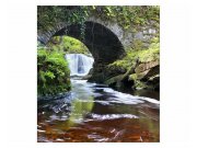 Fototapeta na zeď Irsko | MS-3-0081 | 225x250 cm Fototapety