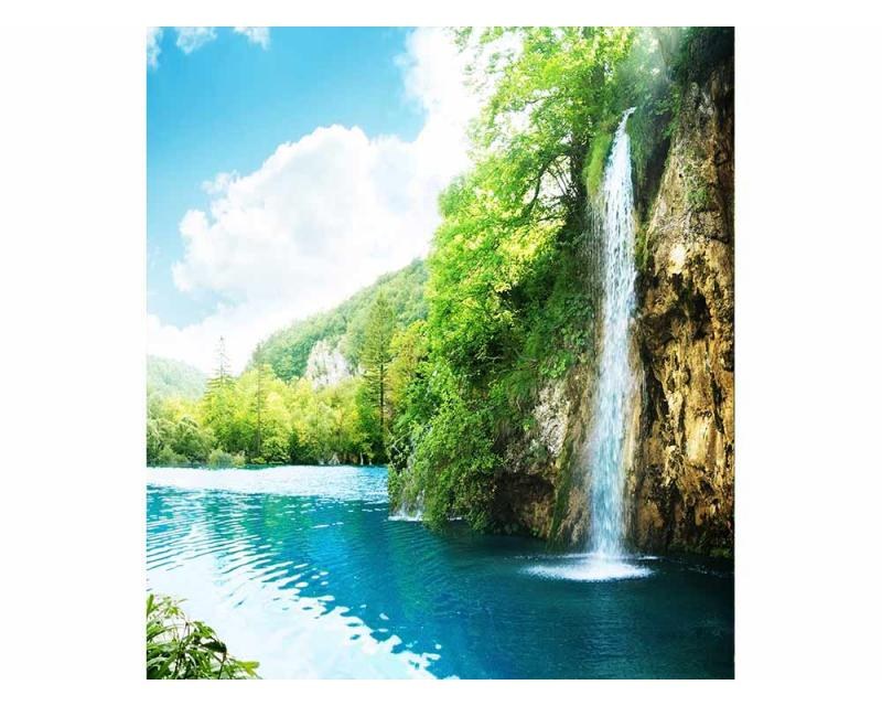 Fototapeta na zeď Relax v lese | MS-3-0085 | 225x250 cm - Fototapety