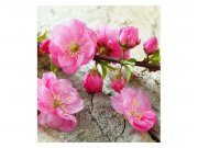 Fototapeta na zeď Sakura | MS-3-0109 | 225x250 cm Fototapety