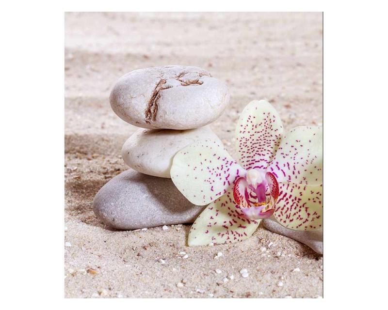 Fototapeta na zeď Zen | MS-3-0118 | 225x250 cm - Fototapety