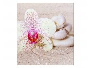 Fototapeta na zeď Relaxační písek | MS-3-0119 | 225x250 cm Fototapety