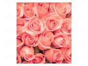 Fototapeta na zeď Růže | MS-3-0133 | 225x250 cm Fototapety