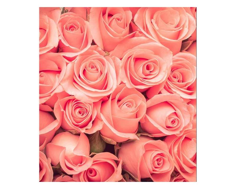 Fototapety - Fototapeta na zeď Růže | MS-3-0133 | 225x250 cm Fototapeta na zeď Růže | MS-3-0133 | 225x250 cm - Fototapety