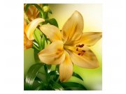 Fototapeta na zeď Lilie | MS-3-0139 | 225x250 cm Fototapety