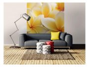 Fototapeta na zeď Plumérie | MS-3-0140 | 225x250 cm Fototapety