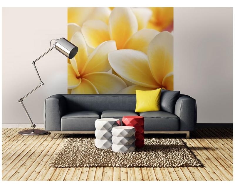 Fototapeta na zeď Plumérie | MS-3-0140 | 225x250 cm - Fototapety
