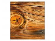 Fototapeta na zeď Dřevěný suk | MS-3-0157 | 225x250 cm Fototapety