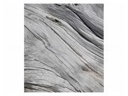 Fototapeta na zeď Struktura stromu | MS-3-0160 | 225x250 cm Fototapety