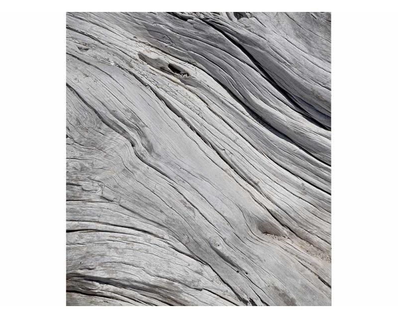 Fototapeta na zeď Struktura stromu | MS-3-0160 | 225x250 cm - Fototapety
