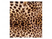 Fototapeta na zeď Leopardí kůže | MS-3-0184 | 225x250 cm Fototapety