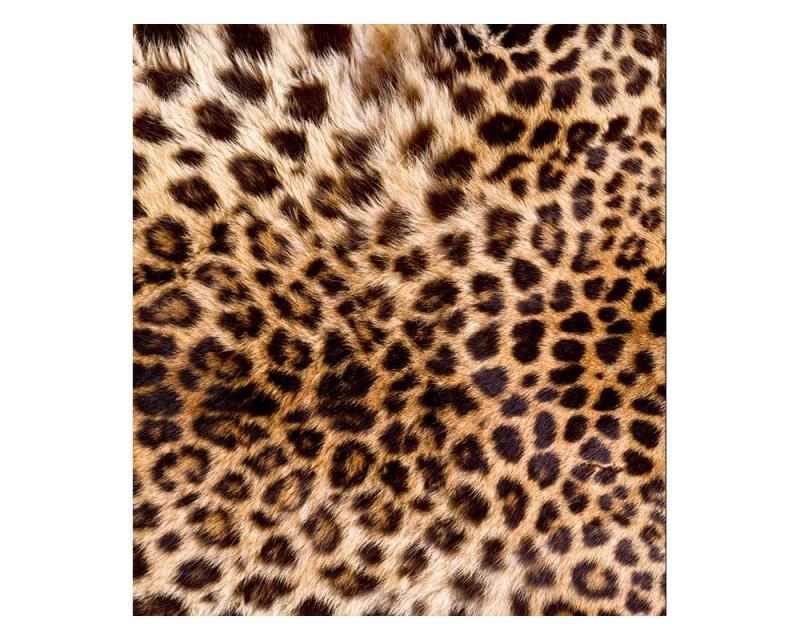 Fototapeta na zeď Leopardí kůže | MS-3-0184 | 225x250 cm - Fototapety