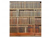 Fototapeta na zeď Knihovna | MS-3-0263 | 225x250 cm Fototapety