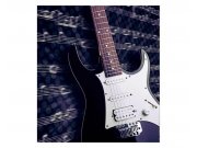 Fototapeta na zeď Elektrická kytara | MS-3-0304 | 225x250 cm Fototapety