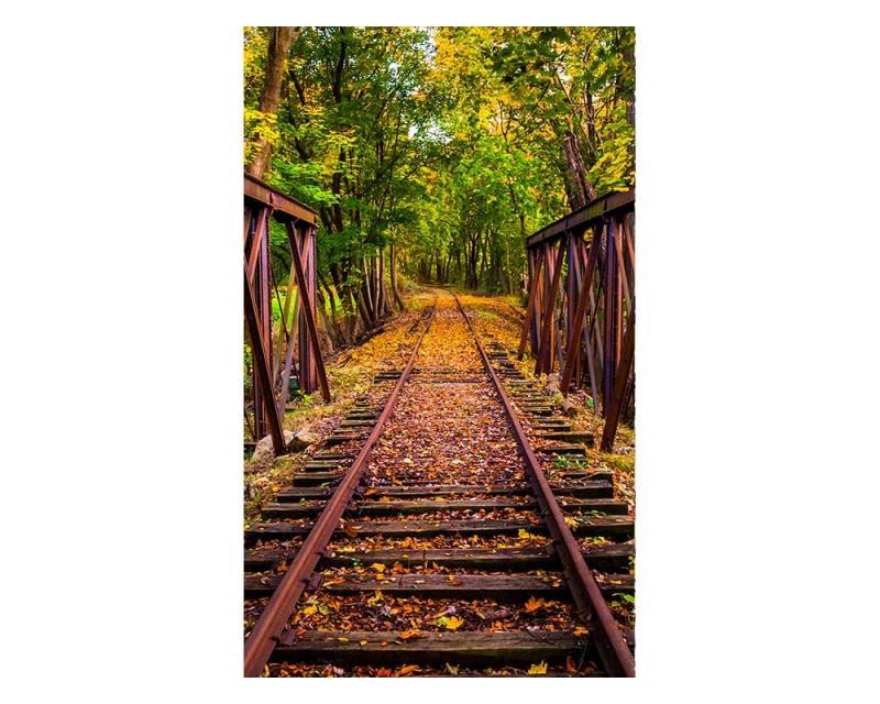 Fototapeta na zeď Železnice v lese | MS-2-0055 | 150x250 cm - Fototapety