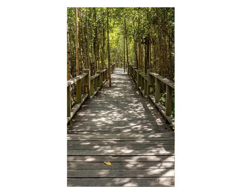 Fototapeta na zeď Mangrovový les | MS-2-0059 | 150x250 cm - Fototapety