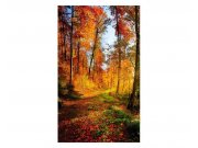 Fototapeta na zeď Procházka lesem | MS-2-0065 | 150x250 cm Fototapety