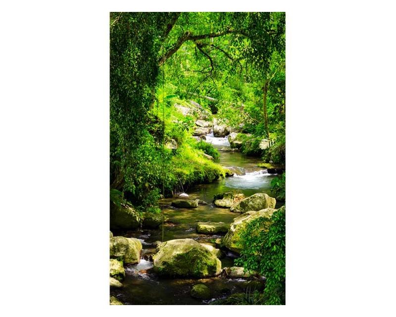 Fototapeta na zeď Horský potok | MS-2-0079 | 150x250 cm - Fototapety