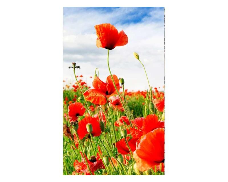 Fototapety - Fototapeta na zeď Červený mák | MS-2-0090 | 150x250 cm Fototapeta na zeď Červený mák | MS-2-0090 | 150x250 cm - Fototapety