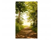 Fototapeta na zeď Lesní cesta | MS-2-0093 | 150x250 cm Fototapety