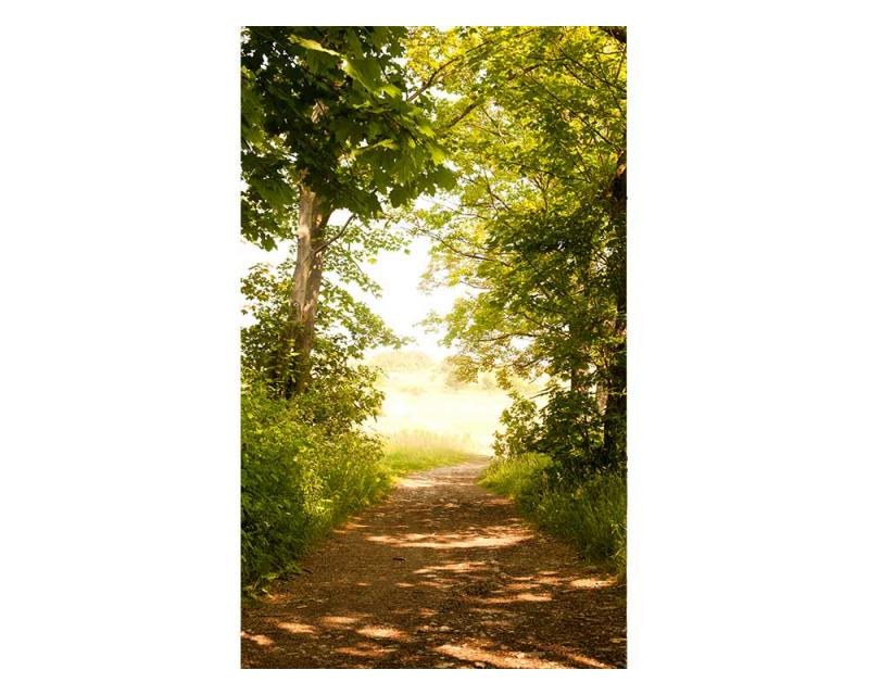 Fototapeta na zeď Lesní cesta | MS-2-0093 | 150x250 cm - Fototapety