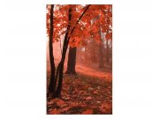 Fototapeta na zeď Les v mlze | MS-2-0095 | 150x250 cm Fototapety
