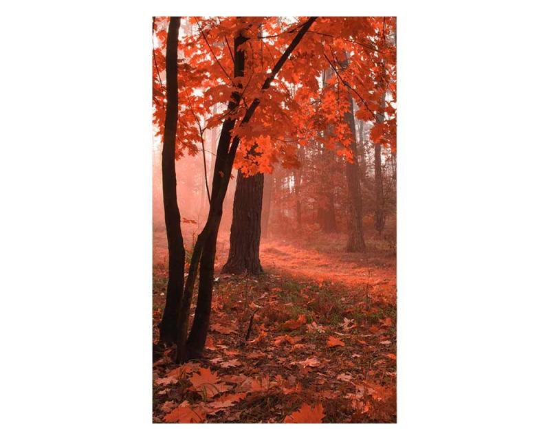 Fototapety - Fototapeta na zeď Les v mlze | MS-2-0095 | 150x250 cm Fototapeta na zeď Les v mlze | MS-2-0095 | 150x250 cm - Fototapety