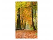 Fototapeta na zeď Podzimní les | MS-2-0099 | 150x250 cm Fototapety