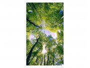 Fototapeta na zeď Stromy v oblacích | MS-2-0104 | 150x250 cm Fototapety