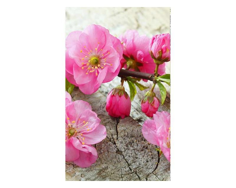 Fototapeta na zeď Sakura | MS-2-0109 | 150x250 cm