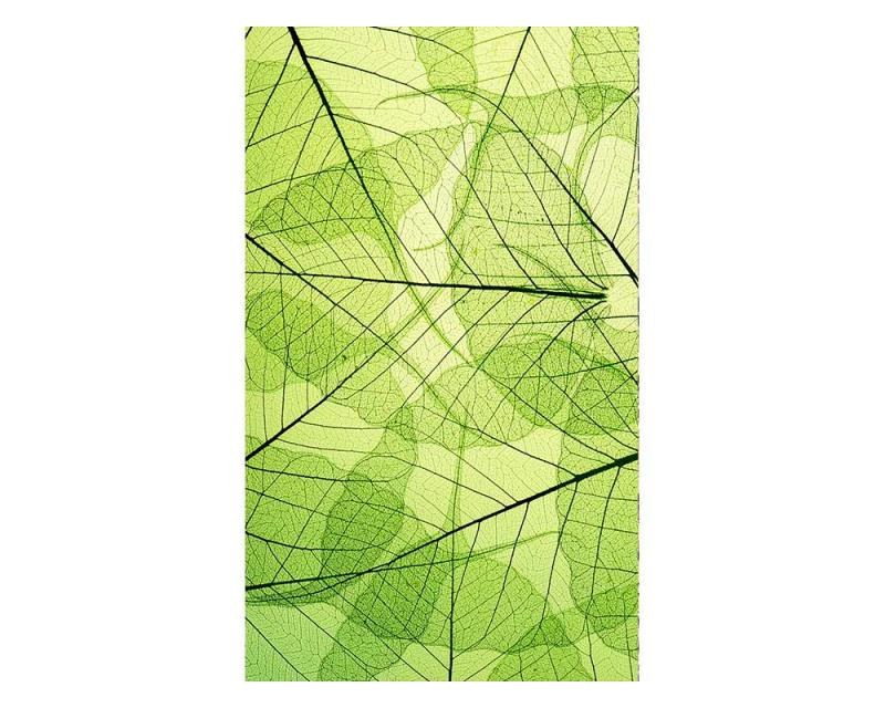 Fototapeta na zeď Žilky listů | MS-2-0111 | 150x250 cm Fototapeta na zeď Žilky listů | MS-2-0111 | 150x250 cm