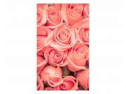 Fototapeta na zeď Růže | MS-2-0133 | 150x250 cm Fototapety