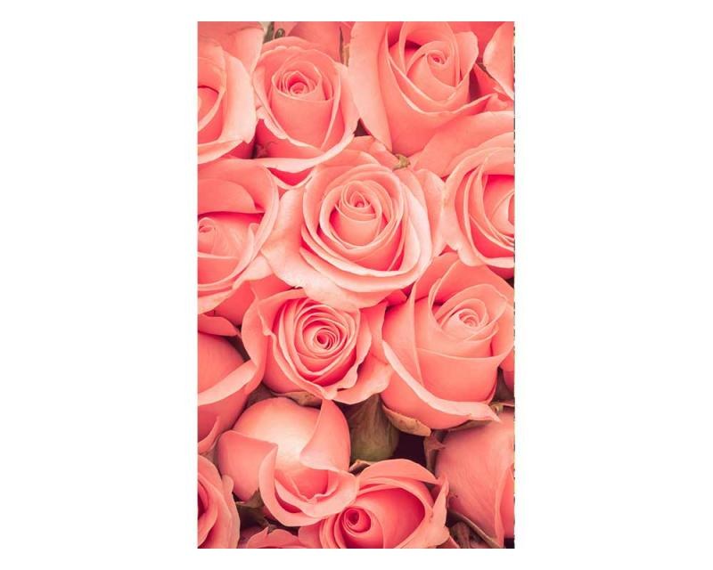Fototapeta na zeď Růže | MS-2-0133 | 150x250 cm - Fototapety