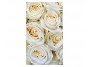 Fototapeta na zeď Bílé růže | MS-2-0137 | 150x250 cm Fototapety