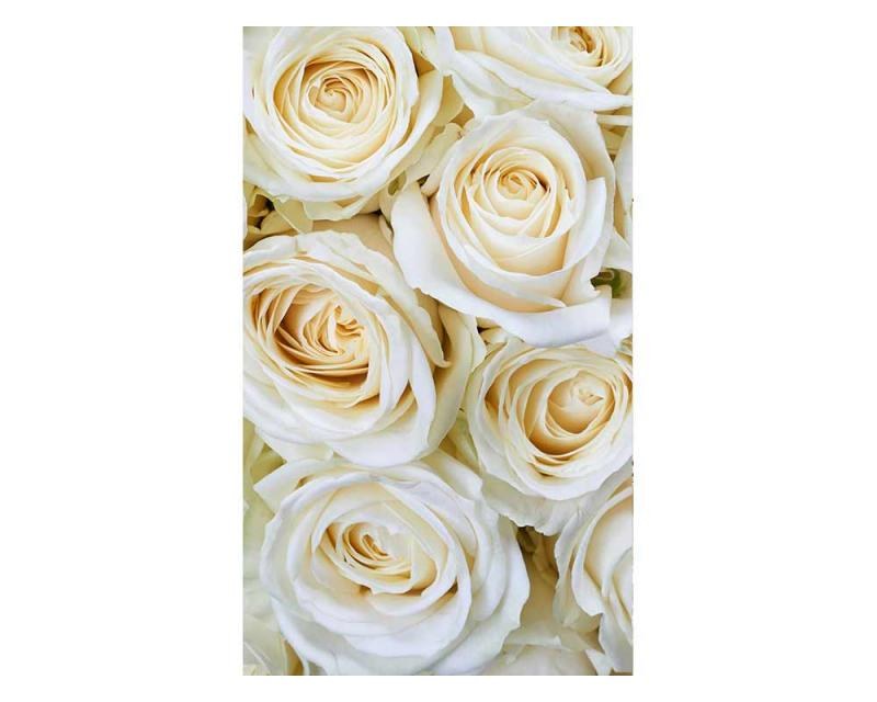 Fototapeta na zeď Bílé růže | MS-2-0137 | 150x250 cm - Fototapety