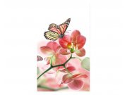 Fototapeta na zeď Motýli a orchideje | MS-2-0146 | 150x250 cm Fototapety