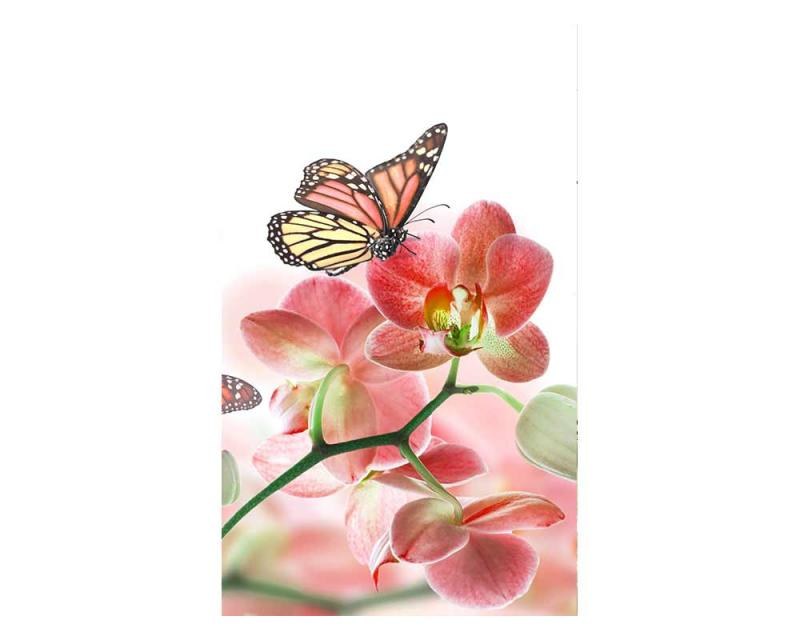 Fototapeta na zeď Motýli a orchideje | MS-2-0146 | 150x250 cm - Fototapety
