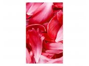 Fototapeta na zeď Červené okvětní lístky | MS-2-0151 | 150x250 cm Fototapety