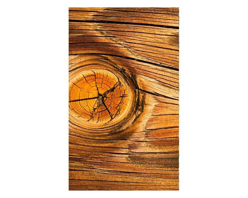 Fototapeta na zeď Dřevěný suk | MS-2-0157 | 150x250 cm - Fototapety