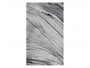 Fototapeta na zeď Struktura stromu | MS-2-0160 | 150x250 cm Fototapety