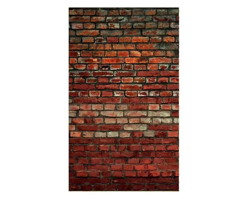 Fototapeta na zeď Cihlová zeď | MS-2-0166 | 150x250 cm - Fototapety