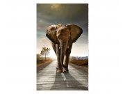 Fototapeta na zeď Kráčející slon | MS-2-0225 | 150x250 cm Fototapety
