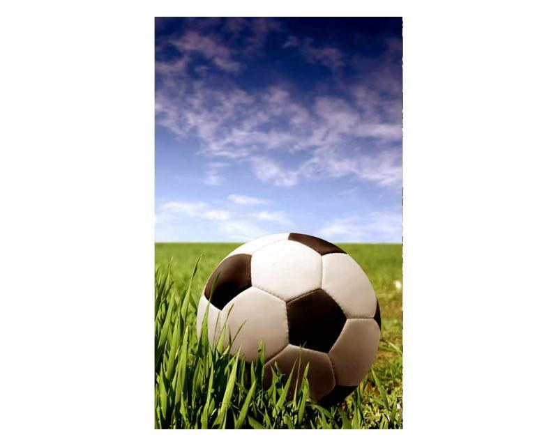 Fototapeta na zeď Fotbalový míč | MS-2-0305 | 150x250 cm - Fototapety