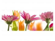 Panoramatická Fototapeta na zeď Jarní květiny | MP-2-0142 | 375x150 cm Fototapety