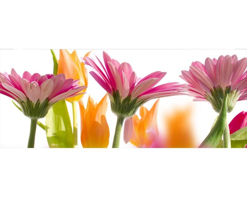 Panoramatická Fototapeta na zeď Jarní květiny | MP-2-0142 | 375x150 cm - Fototapety