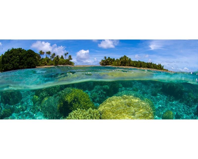 Panoramatická Fototapeta na zeď Korálový útes | MP-2-0200 | 375x150 cm - Fototapety